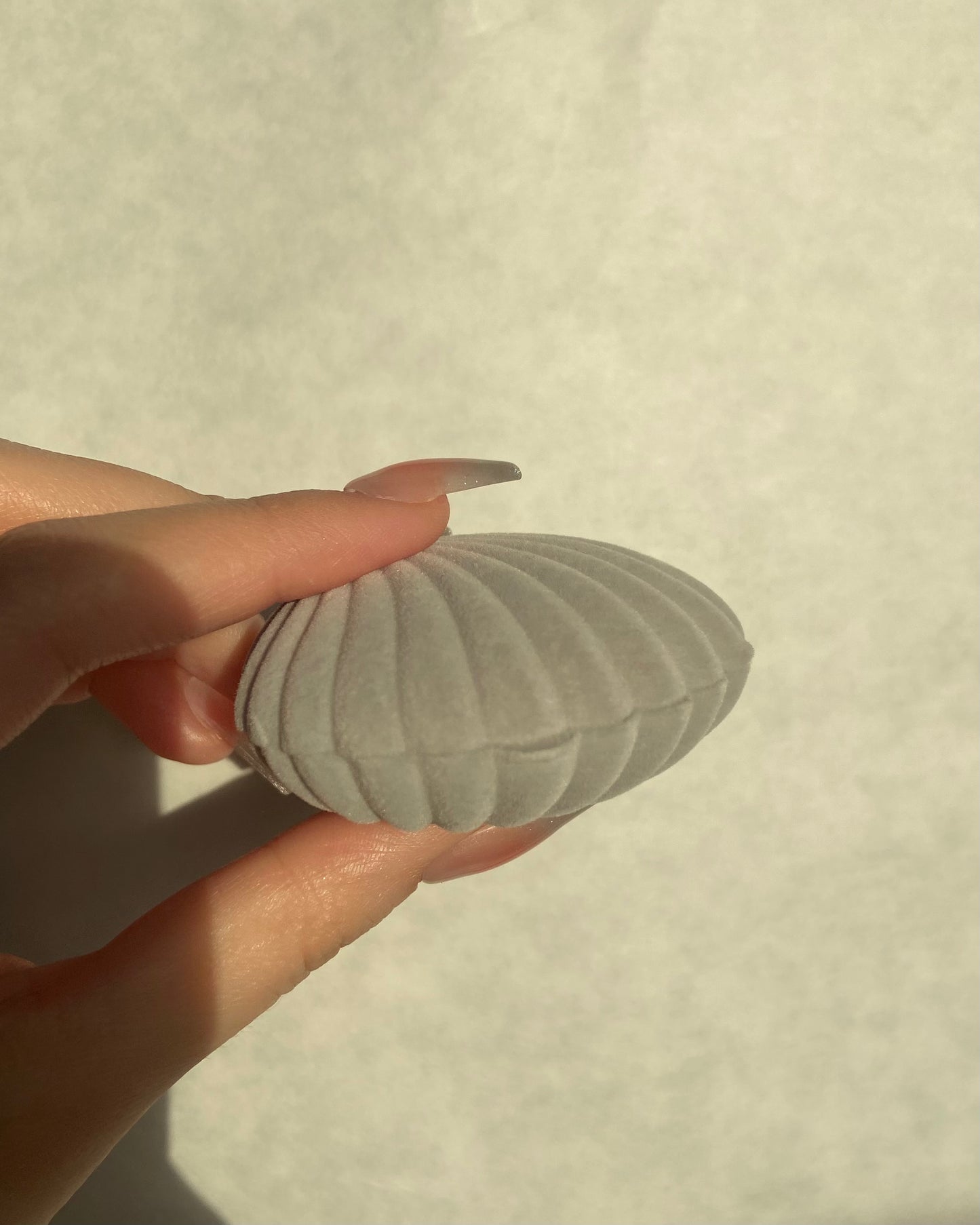 Seashell Jewelry Boxes | ☾065