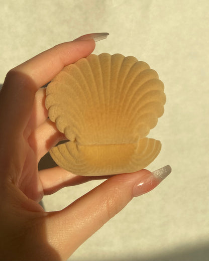 Seashell Jewelry Boxes | ☾065