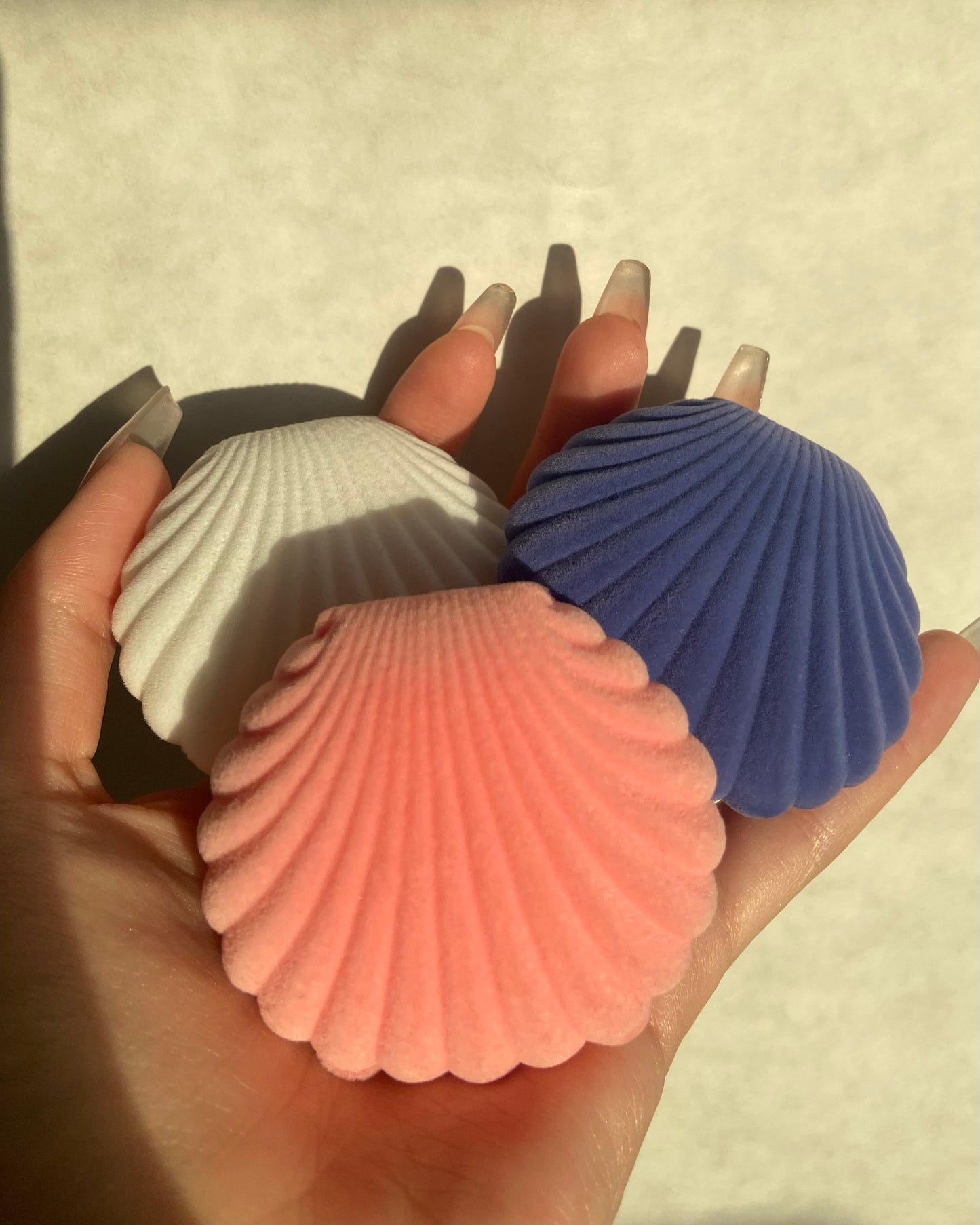 Seashell Jewelry Boxes | ☾065