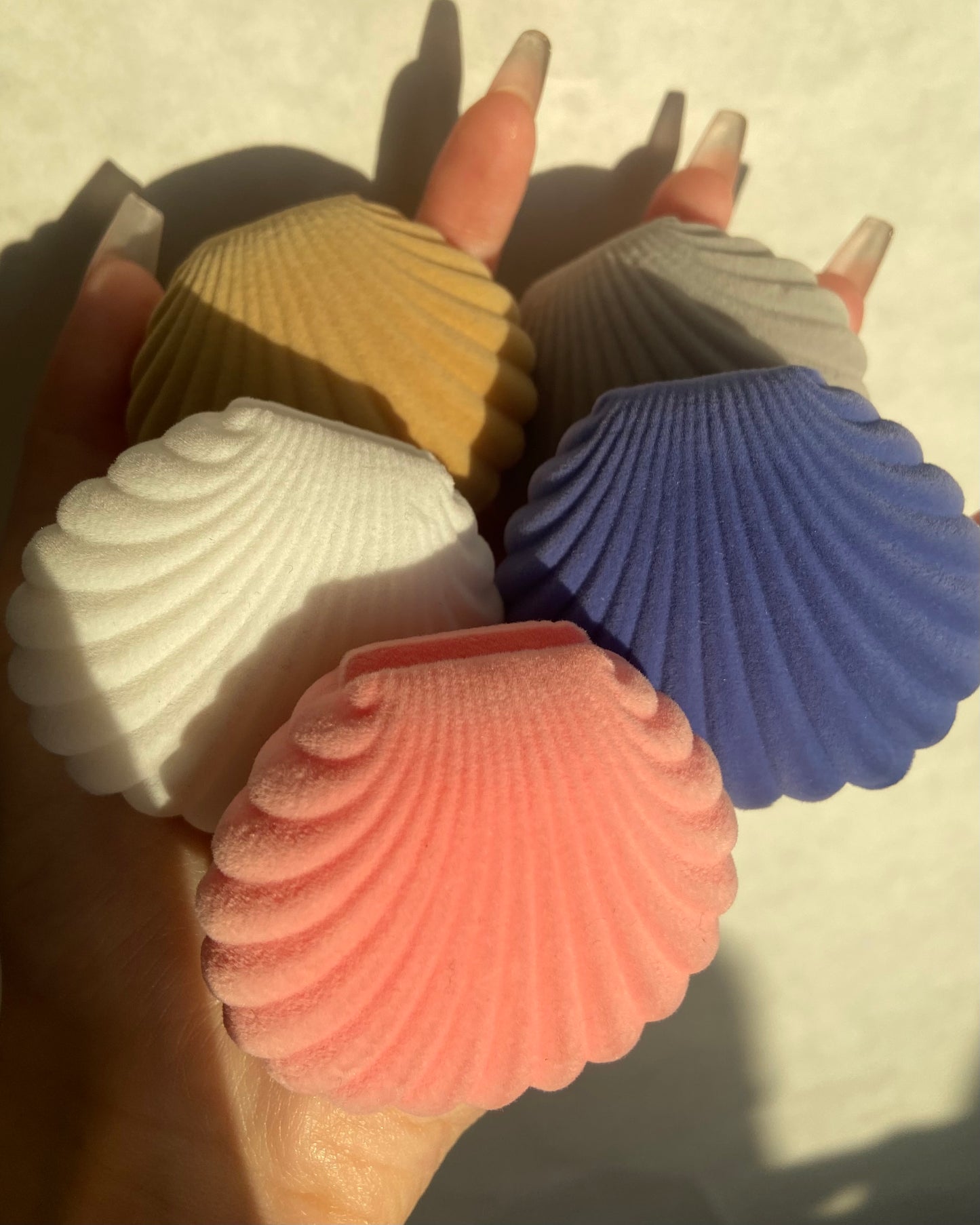 Seashell Jewelry Boxes | ☾065