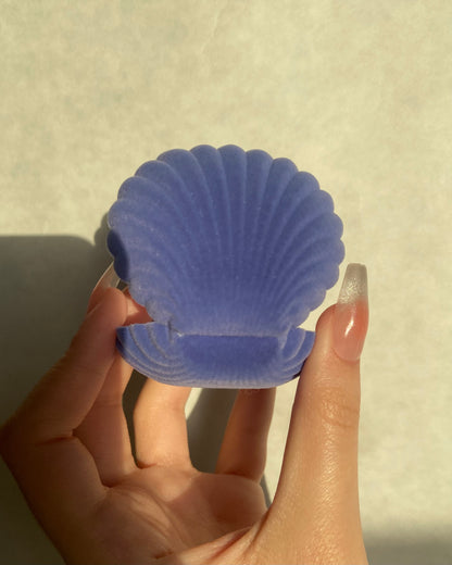 Seashell Jewelry Boxes | ☾065