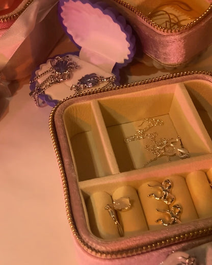 Ultimate Jewelry Case | ☾170